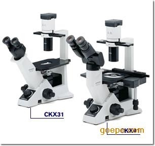 奧林巴斯熒光倒置顯微鏡CKX41-A32FL/PH