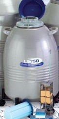 泰萊華頓LS型儲存液氮罐