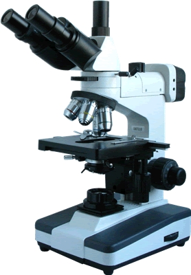 上海彼愛姆正置金相顯微鏡BM-53XC