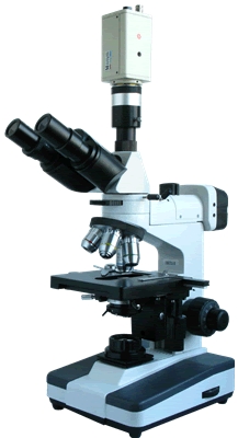 上海彼愛姆正置金相顯微鏡BM-53XCC
