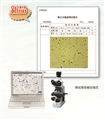 上海物光粉塵形貌分散度測試儀WKL-722