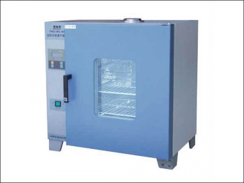 上海博泰電熱恒溫干燥箱GZX-DH.202-0-BS