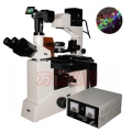 上海萬衡數碼型落射熒光顯微鏡M50D