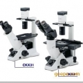 奧林巴斯倒置顯微鏡CKX31-A12PHP