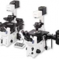 奧林巴斯熒光倒置顯微鏡IX71-F22FL/DIC