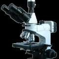 上海彼愛姆正置金相顯微鏡BM-53XCC